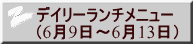 デイリーランチメニュー （6月9日～6月13日）